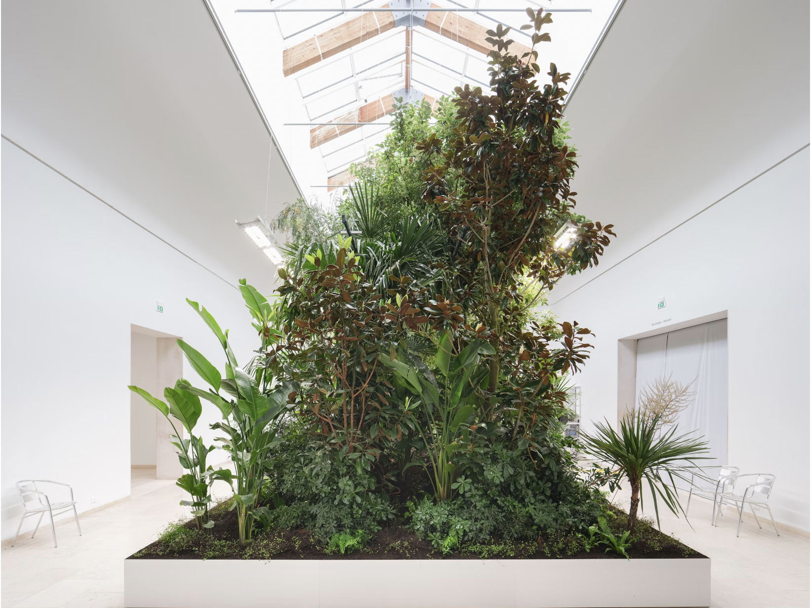 Belgiens Biennale-Pavillon wird zum lebenden Labor für Pflanzenintelligenz