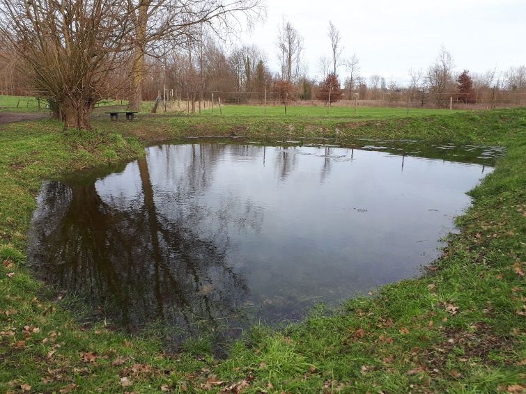 Regionaal landschap herstelde de historische poel 'Coelhof'.