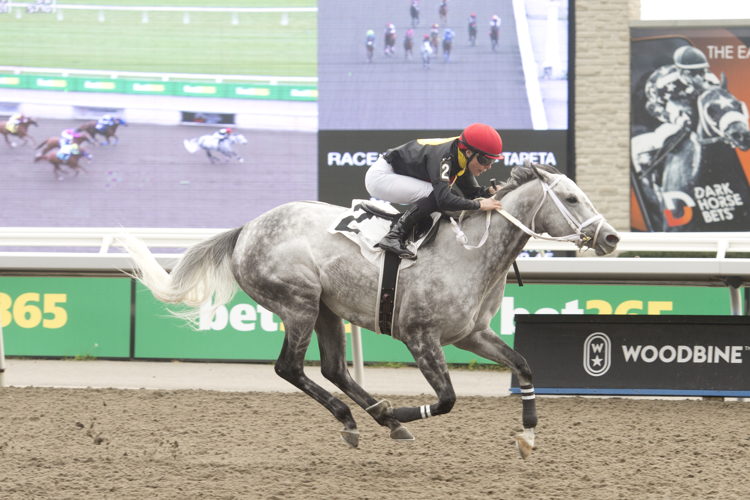 Jill and jockey Emma-Jayne Wilson winning Race 7 on October 14, 2023 at Woodbine (Michael Burns Photo)