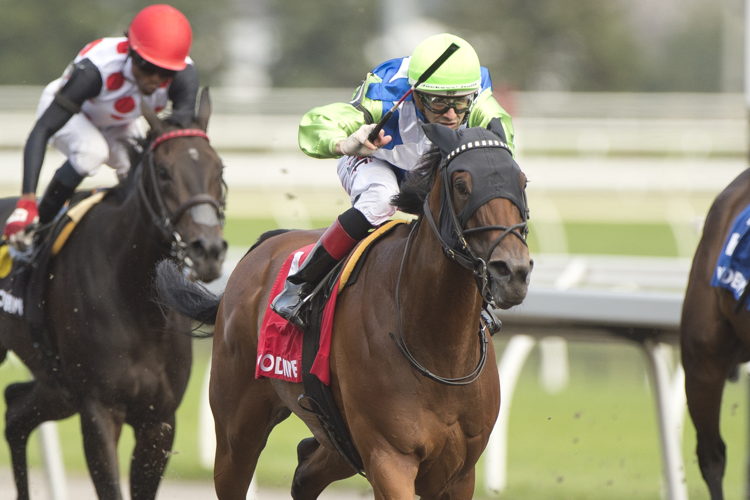 Ready To Venture and jockey Rafael Hernandez winning the Seaway Stakes on September 17, 2023 at Woodbine (Michael Burns Photo)