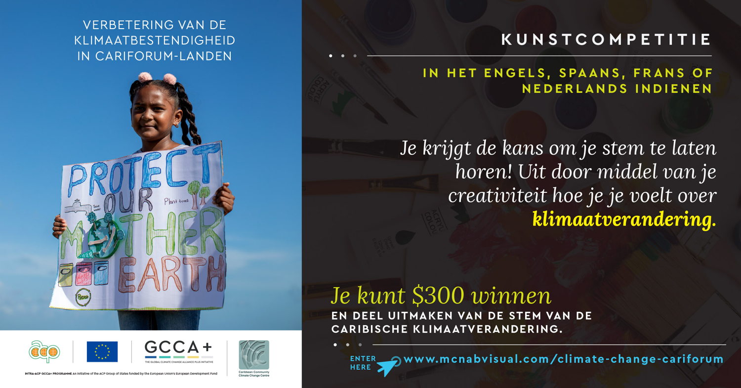 Dutch Flyer