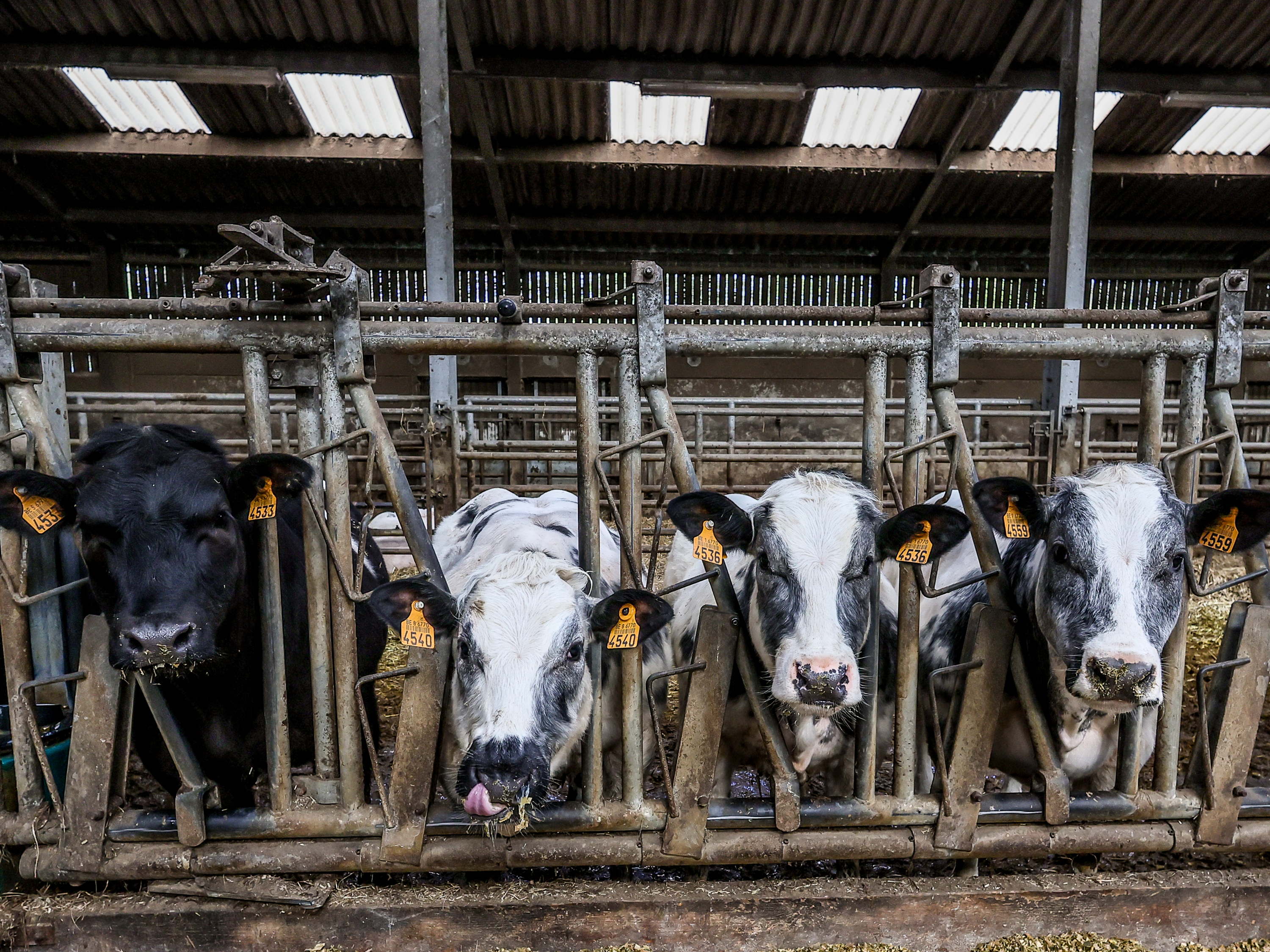 Nitrogen oxide emissions in Flanders fell by 35 per cent between 2015 and 2022