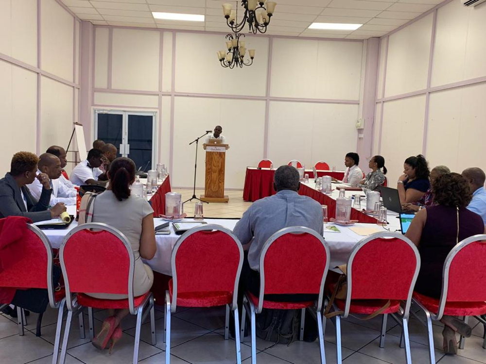 National consultation held in Saint Lucia on Wednesday March 13th 2019 at the Golden Palm Conference Center in Rodney Bay.