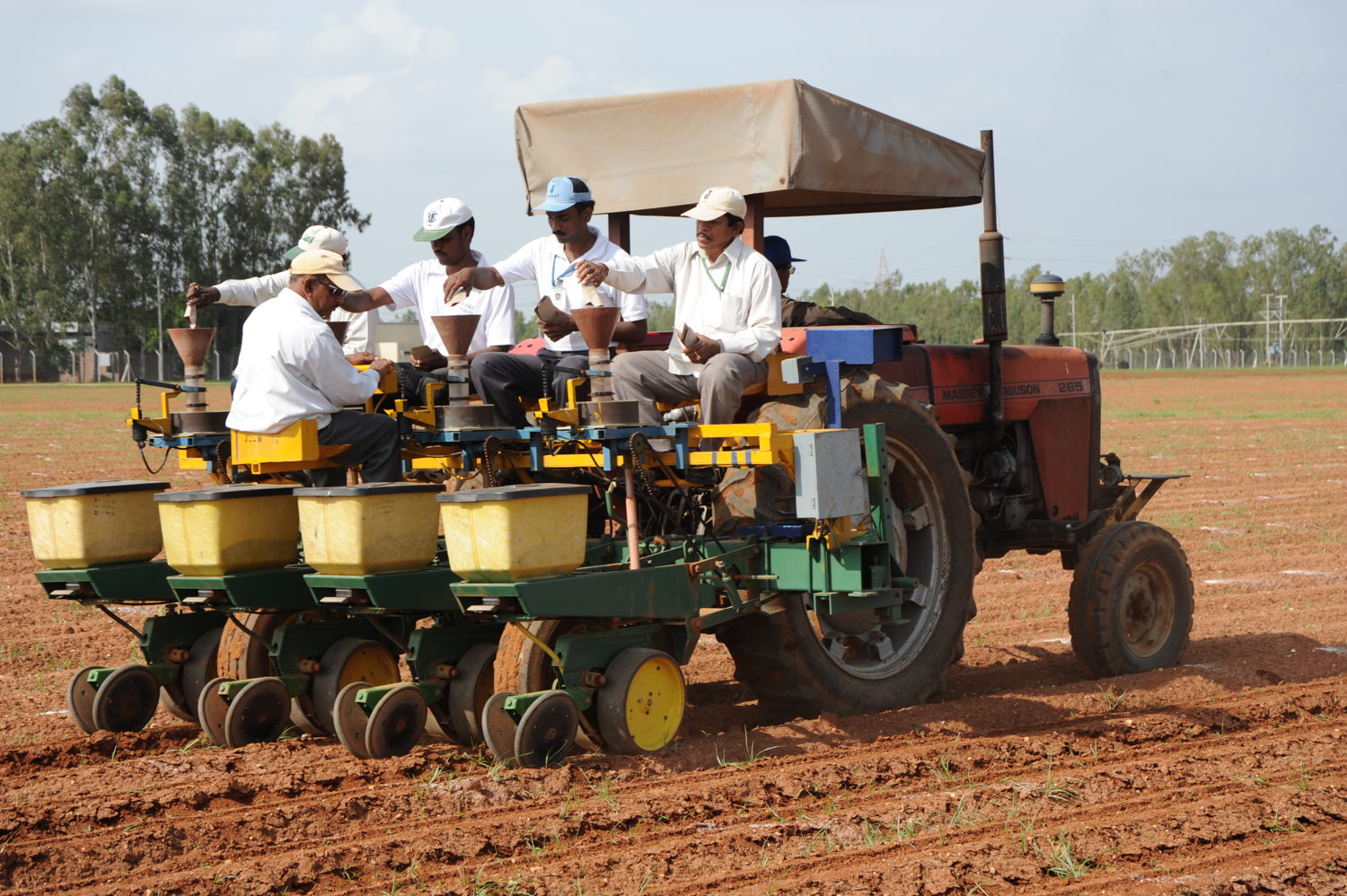 Sowing the seeds of food security at ICRISAT fields.