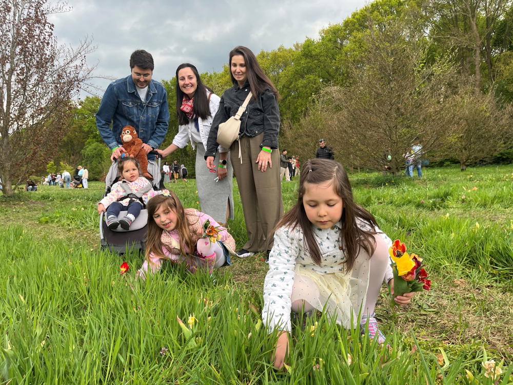 Tulpenpluk 2025, foto Wim Hadermann