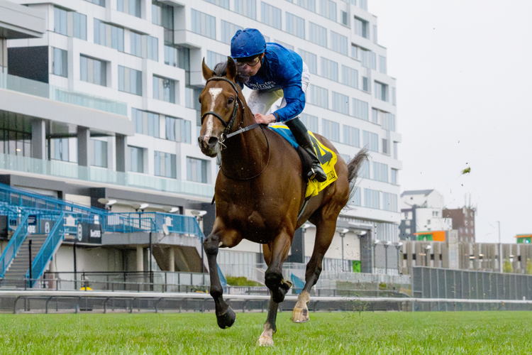 Nations Pride (IRE) and jockey William Buick winning the 2023 Canadian International at Woodbine (Michael Burns Photo)