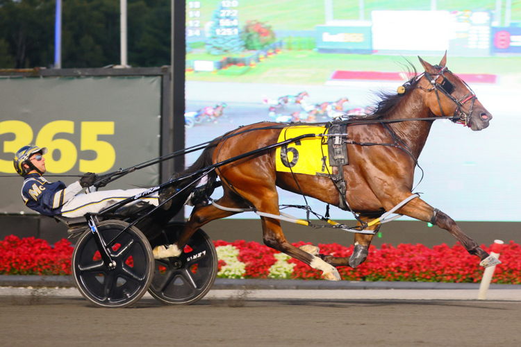 Cant See Me and driver Bob McClure winning the first elimination for the Shes A Great Lady on September 14, 2024 at Woodbine Mohawk Park (New Image Media) Cant See Me and driver Bob McClure winning the first elimination for the Shes A Great Lady on September 14, 2024 at Woodbine Mohawk Park (New Image Media)
