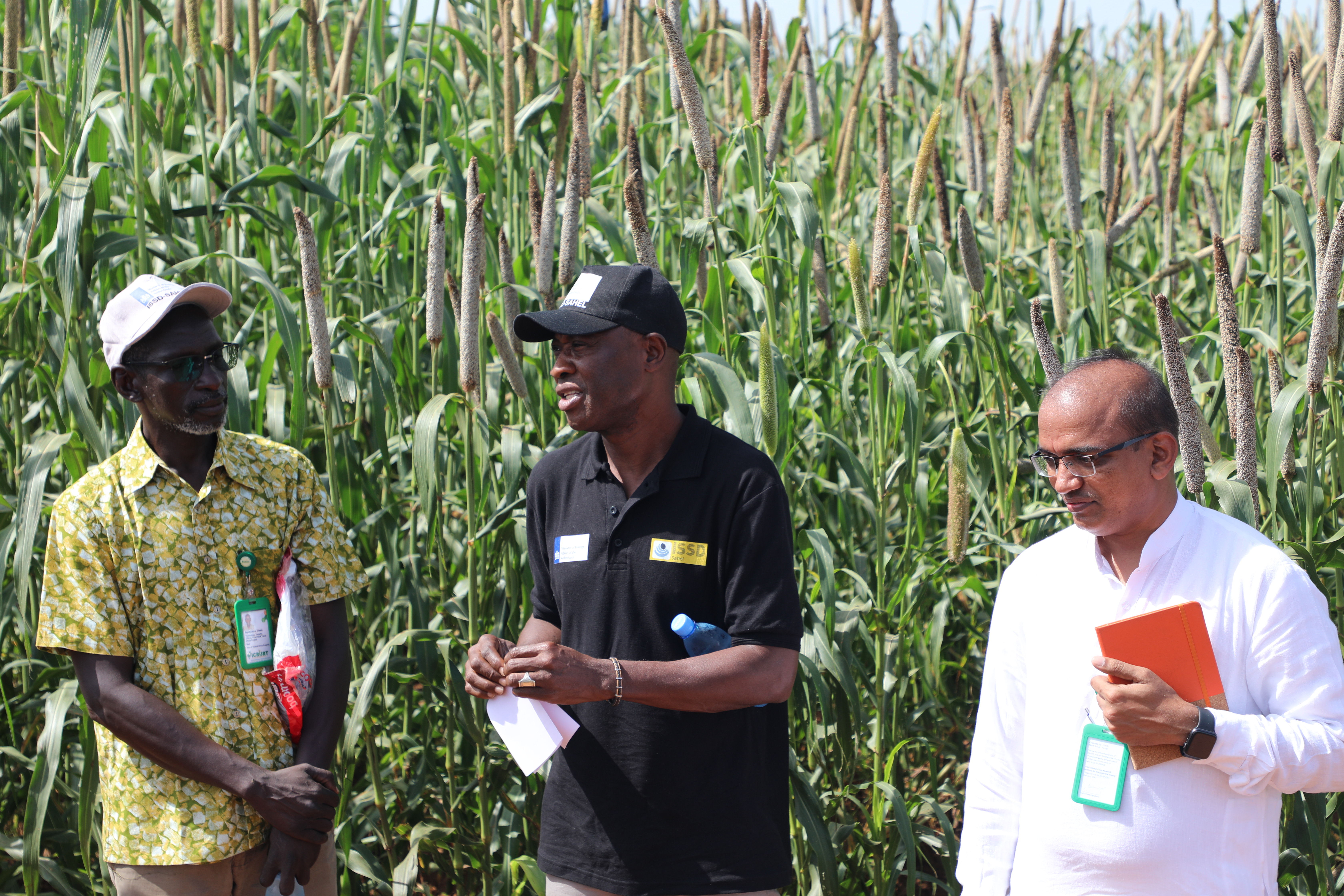 De la gauche vers la droite : M. Boubakary Cisse, Chargé de transfert de Technologie à l’ICRISAT-Mali, Dr. Bidjokazo Fofana, Coordinateur du projet ISSD/Sahel, Dr. Mohammed Riyazaddin, sélectionneur de mil à l’ICRISAT-Mali.