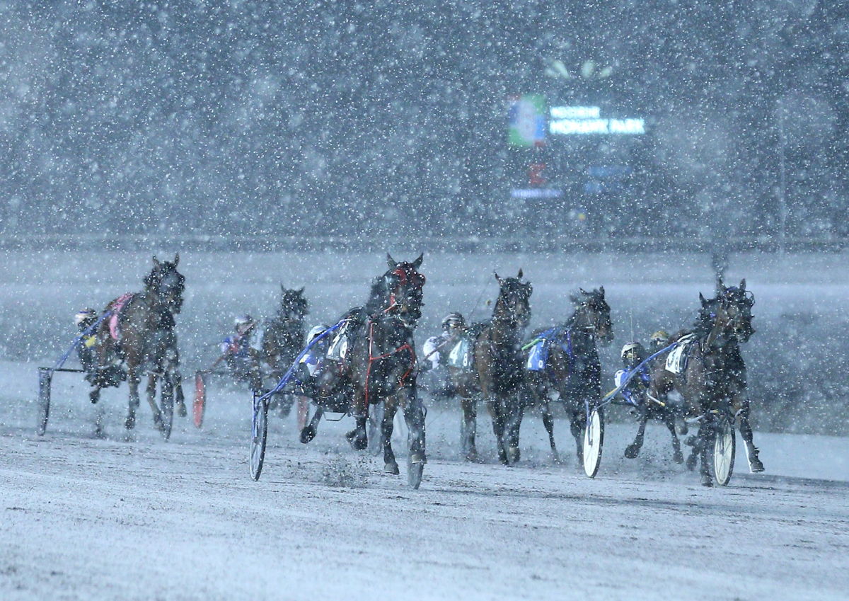 Racing in the snow at Woodbine Mohawk Park. (New Image Media)