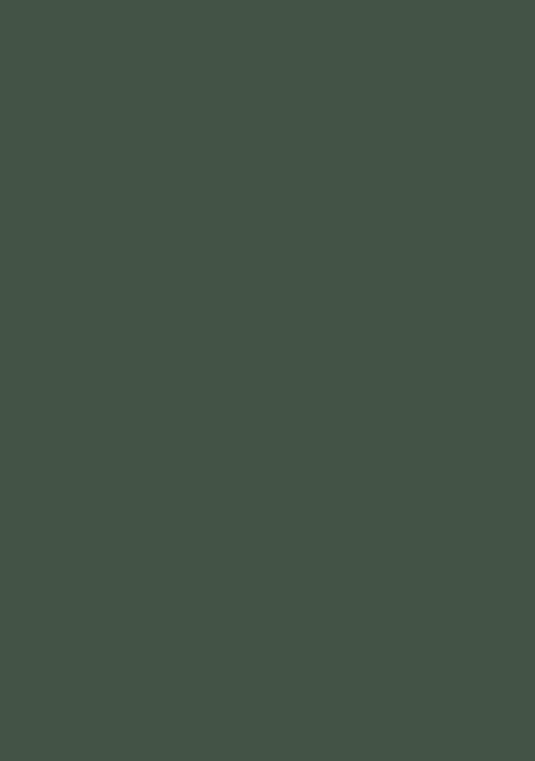 Duck Green No. W55