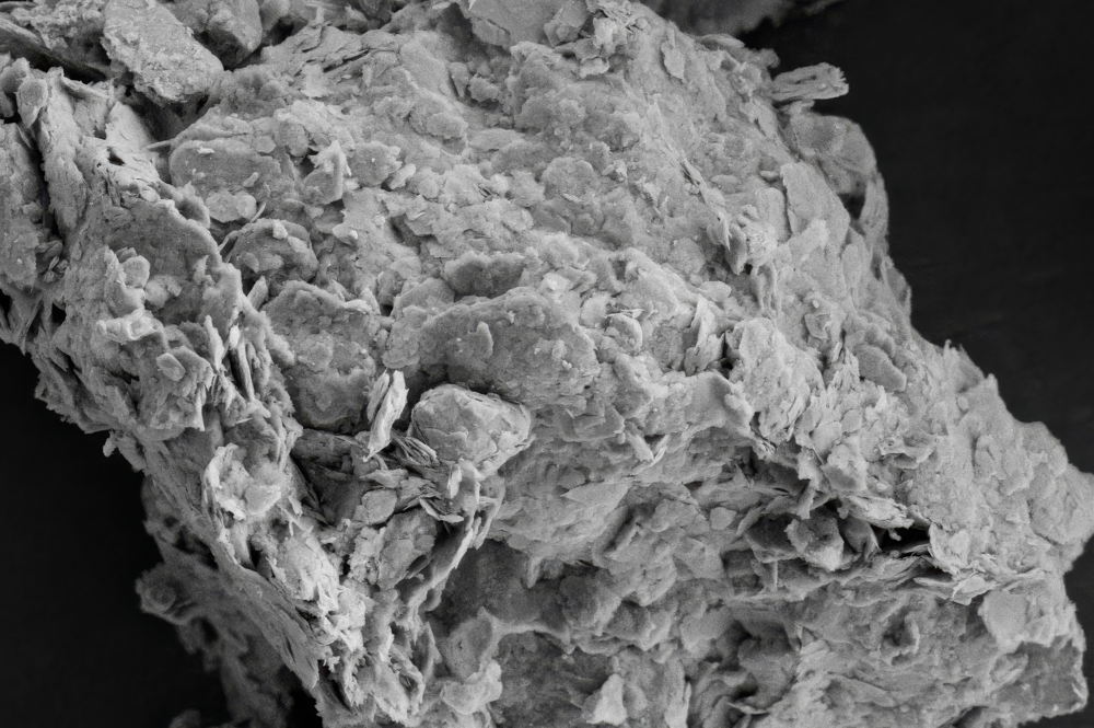 SEM_Courtesy of IMO-IMOMAC UHasselt_1