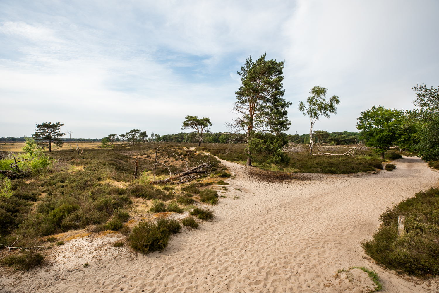 Grenspark De Zoom - Kalmthoutse Heide