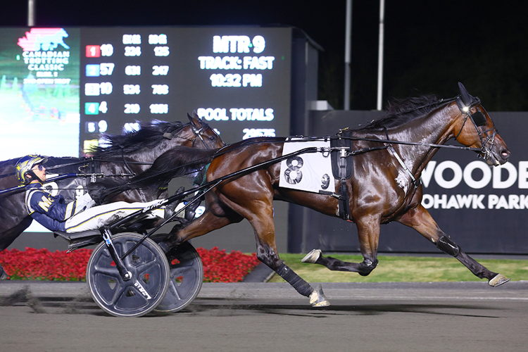 Highland Kismet and driver Bob McClure winning the Canadian Trotting Classic Elimination on September 14, 2024 at Woodbine Mohawk Park (New Image Media) Highland Kismet and driver Bob McClure winning the Canadian Trotting Classic Elimination on September 14, 2024 at Woodbine Mohawk Park (New Image Media)