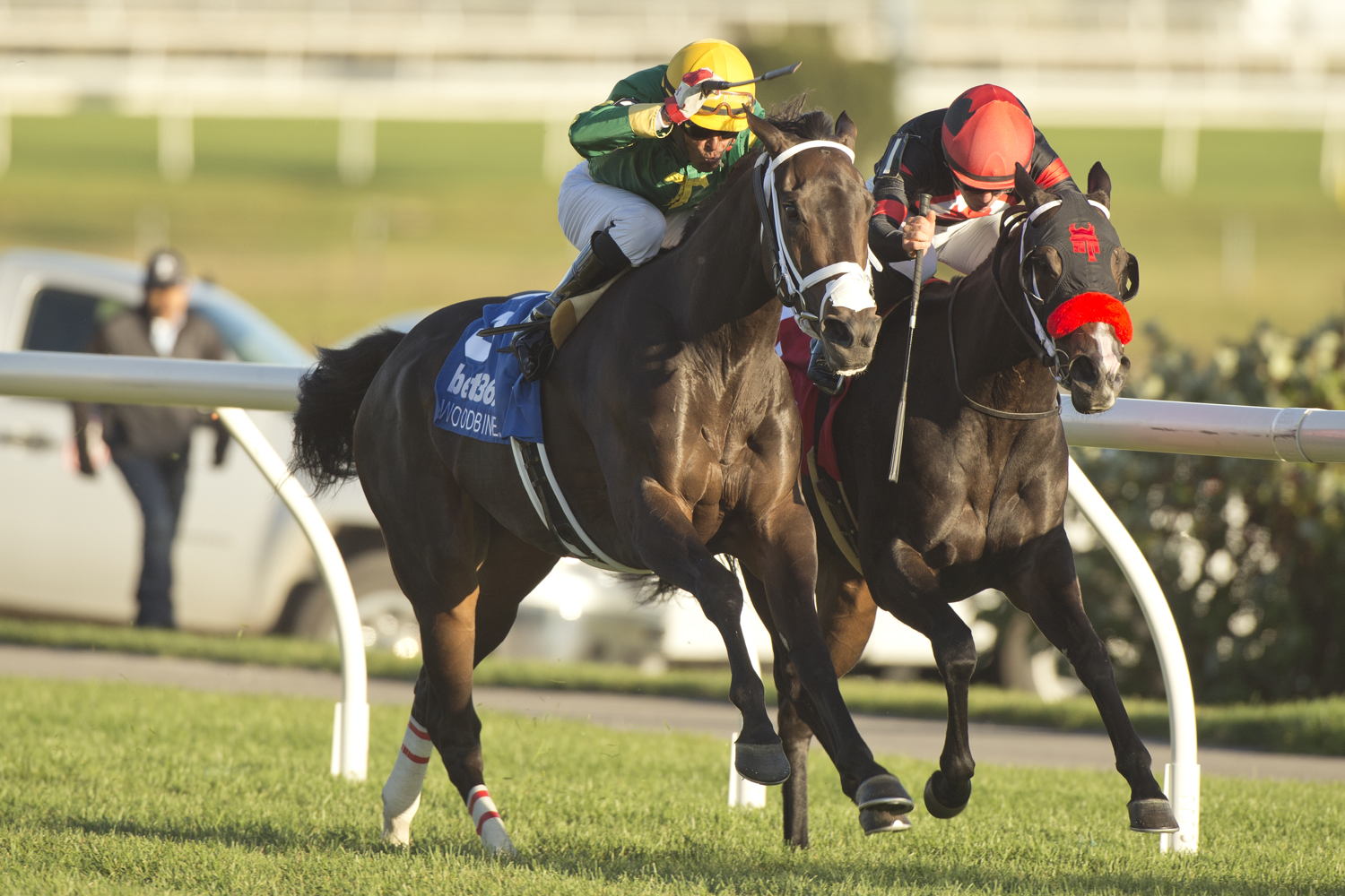 Fashionably Fab and jockey Patrick Husbands winning the Eternal Search Stakes on October 22, 2023 at Woodbine (Michael Burns Photo)