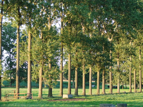 Landschap Meetjesland
