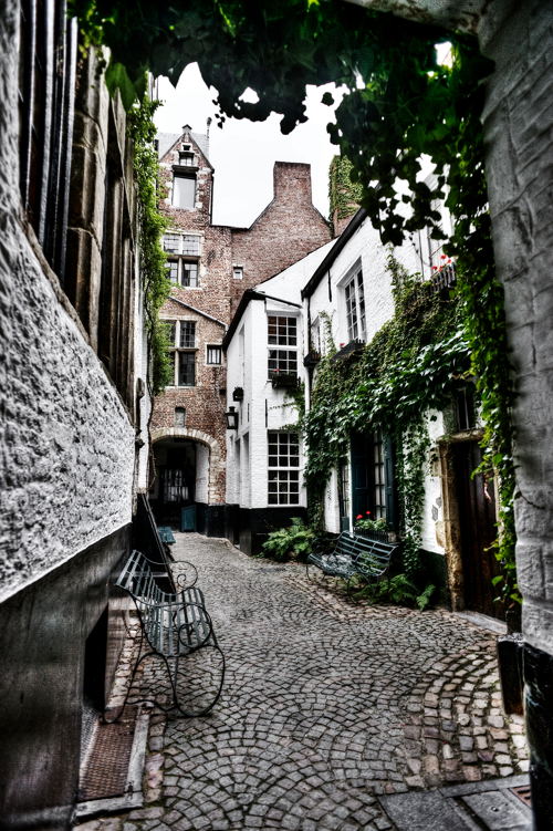 Vlaeykensgang © Dave Van Laere