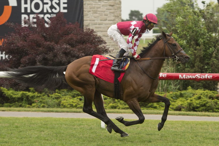Masseto and jockey Patrick Husbands winning at Woodbine on June 15, 2023 (Michael Burns Photo) Masseto and jockey Patrick Husbands winning at Woodbine on June 15, 2023 (Michael Burns Photo)