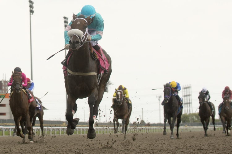 Moira and Rafael Hernandez winning the 163rd running of The Queen's Plate on Sunday at Woodbine Racetrack. (Michael Burns Photo)