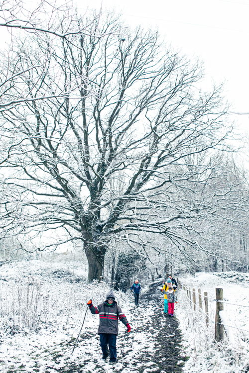 Wandeling door de sneeuw