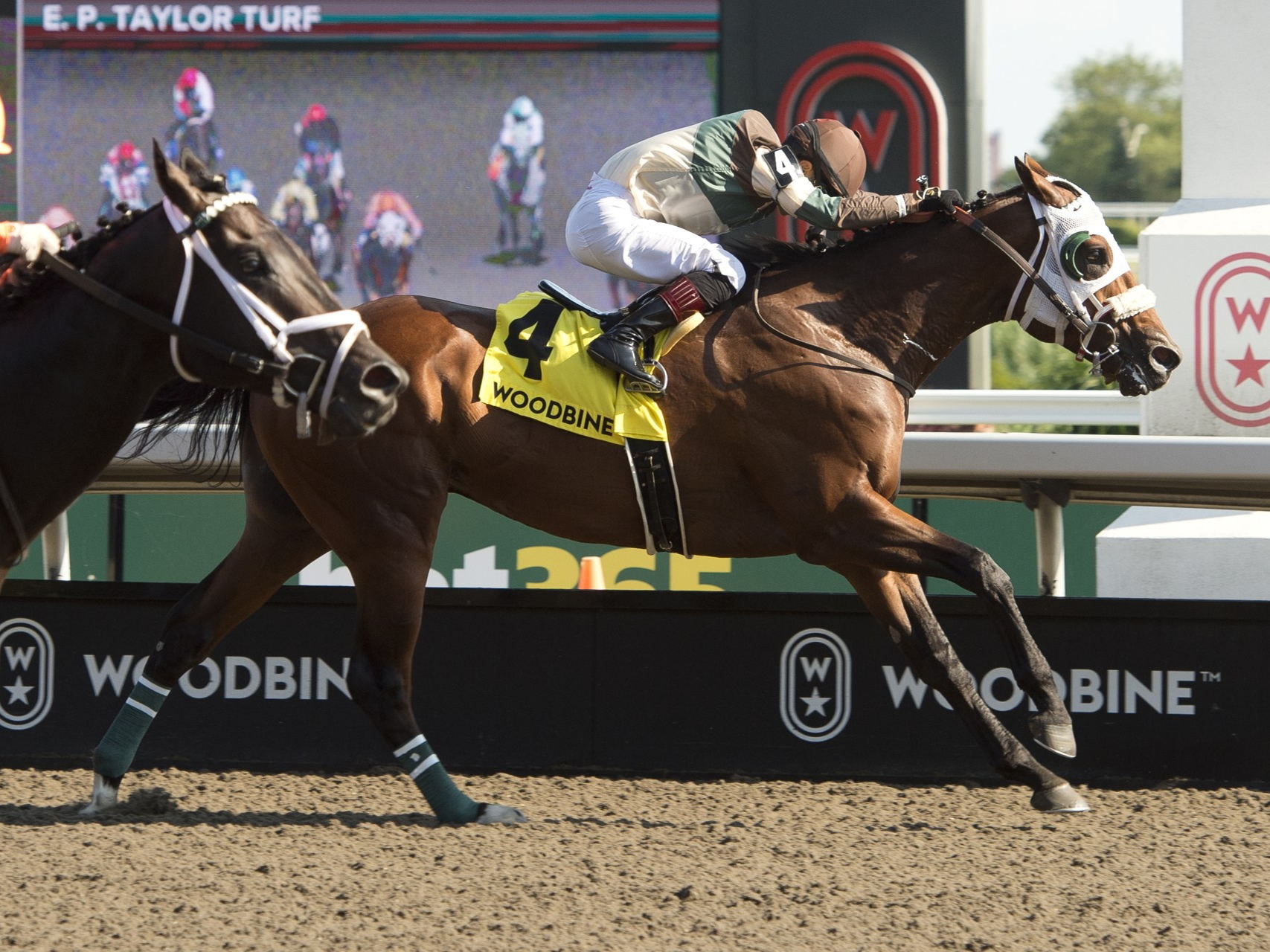 Its Time to Shine delivers John Ross one-two finish in Pink Lloyd