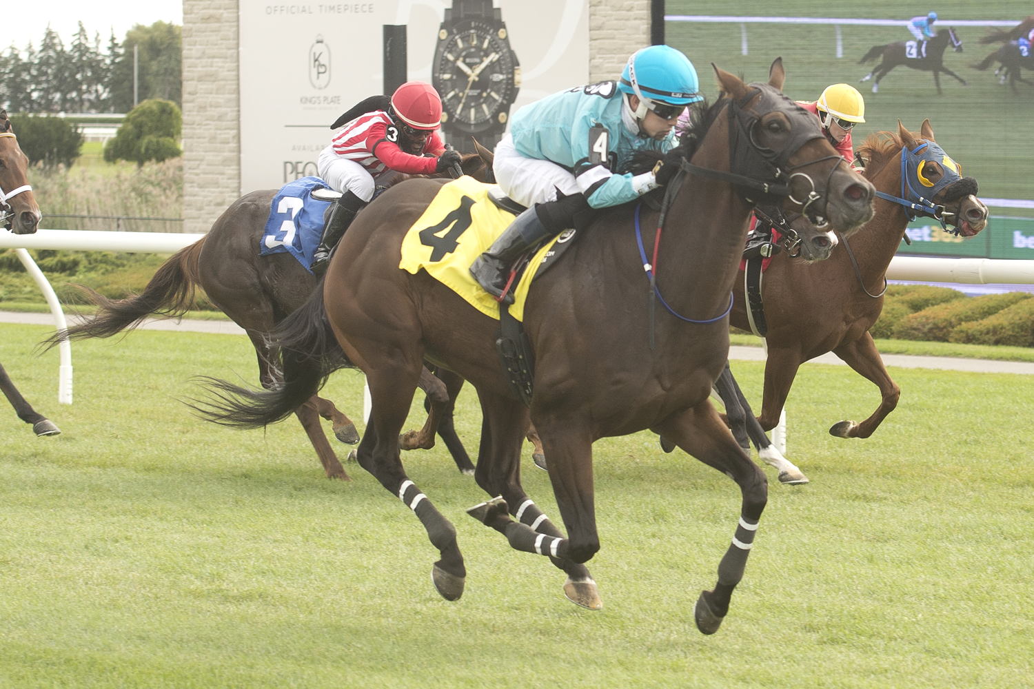 Lulu’s Lullaby and jockey Fraser Aebly winning Race 1 on October 13, 2023 (Michael Burns Photo)