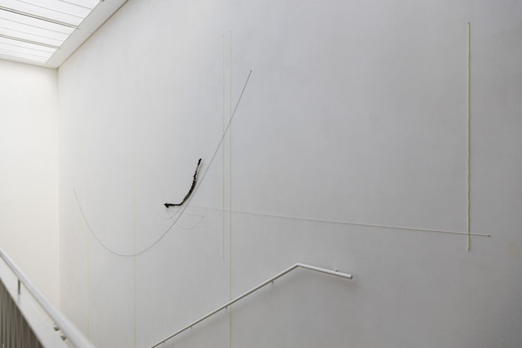Minia Biabiany, Breathings of the Wind, 2021. Detail. Installation view at Z33 House for Contemporary Art, Design & Architecture, Hasselt, Belgium. Courtesy the artist. Photo: Selma Gurbuz.