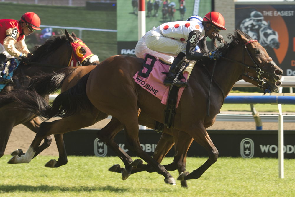 Souper Hoity Toity (Michael Burns Photo)