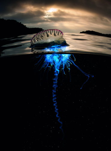 Afl 4: Big Blue - (c) BBC