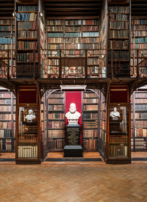 Nottebohmzaal van de Erfgoedbibliotheek Hendrik Conscience | Foto: LUCID