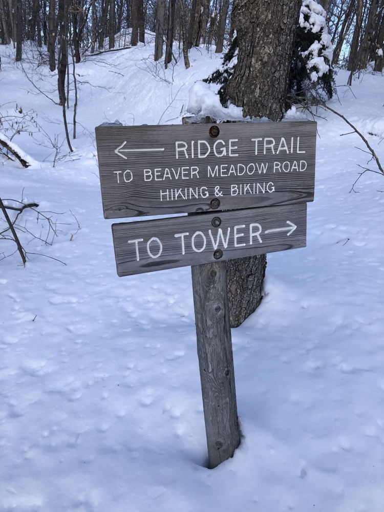 Trail signs on the Gile Mountain trail