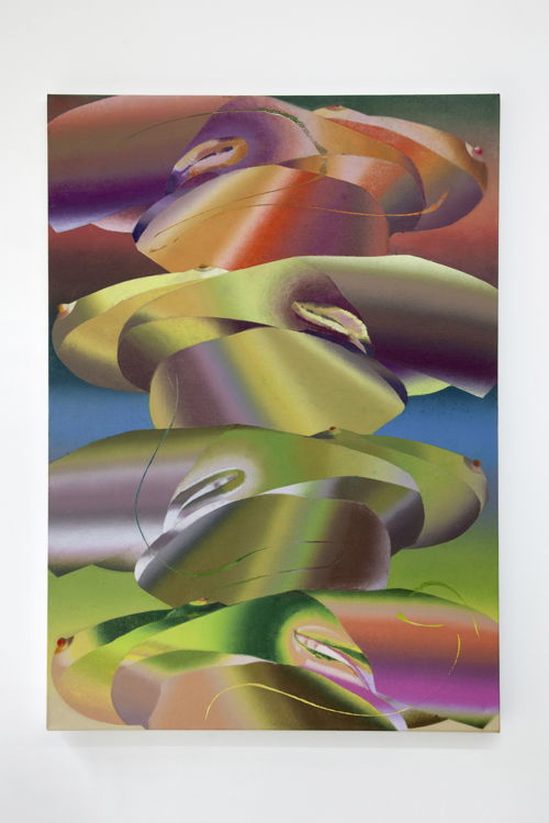 Rainbow Warriors, Oil on linen, 2020, 91 x 63cm, Hadassah Emmerich © Ludovic Beillard