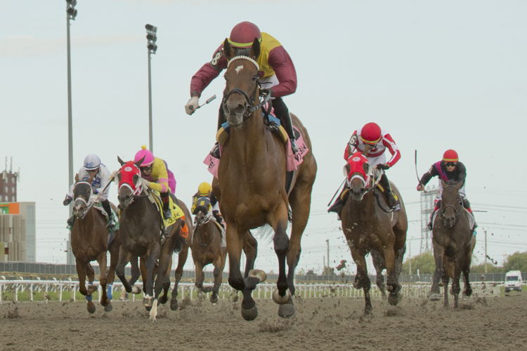 Hurricane Clair and jockey Sahin Civaci winning the Muskoka Stakes on August 27, 2023 at Woodbine (Michael Burns Photo) Hurricane Clair and jockey Sahin Civaci winning the Muskoka Stakes on August 27, 2023 at Woodbine (Michael Burns Photo)
