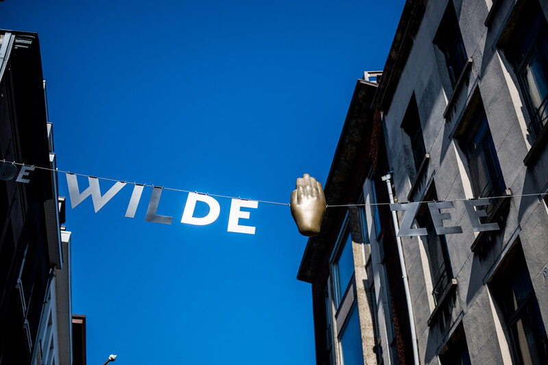 Straatoverspanning De Wilde Zee, foto Dries Luyten