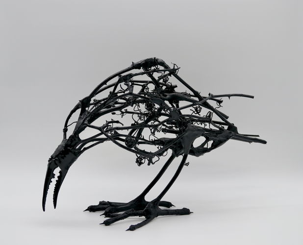 Bryan Dahlvang Crow