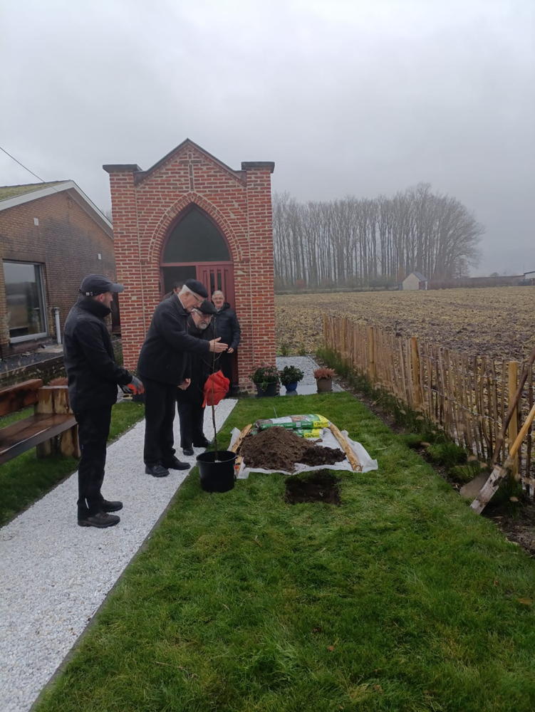 Aanplant van de linde