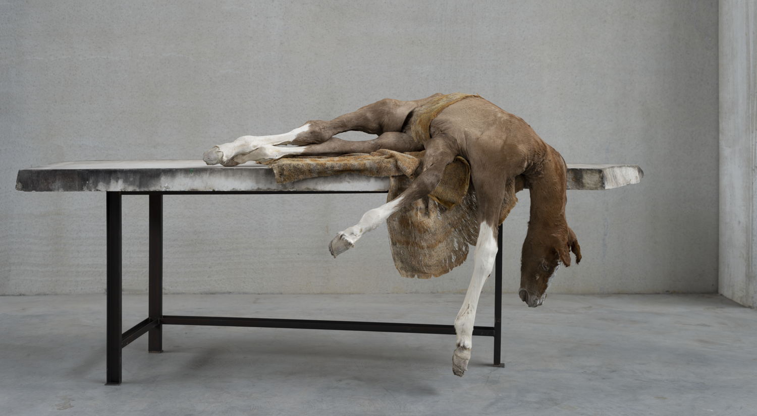 Berlinde De Bruyckere, Lost V, 2021-2022, 2021-2022, horse skin, marble, textile, iron, epoxy, courtesy of the artist © Mirjam Devriendt