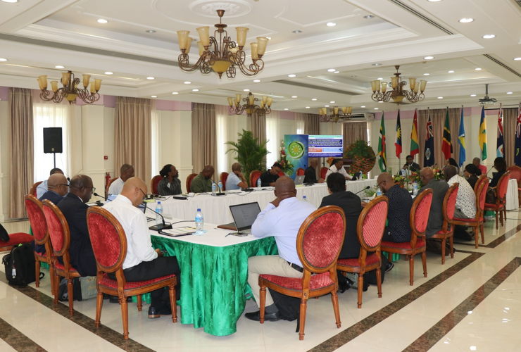 Courtesy Ministry of Blue and Green Economy, Agriculture and National Food Security, Dominica