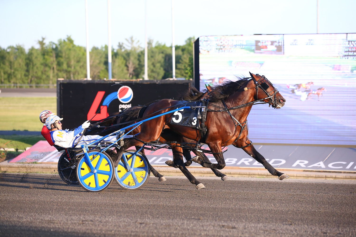 Redwood Hanover. (New Image Media)