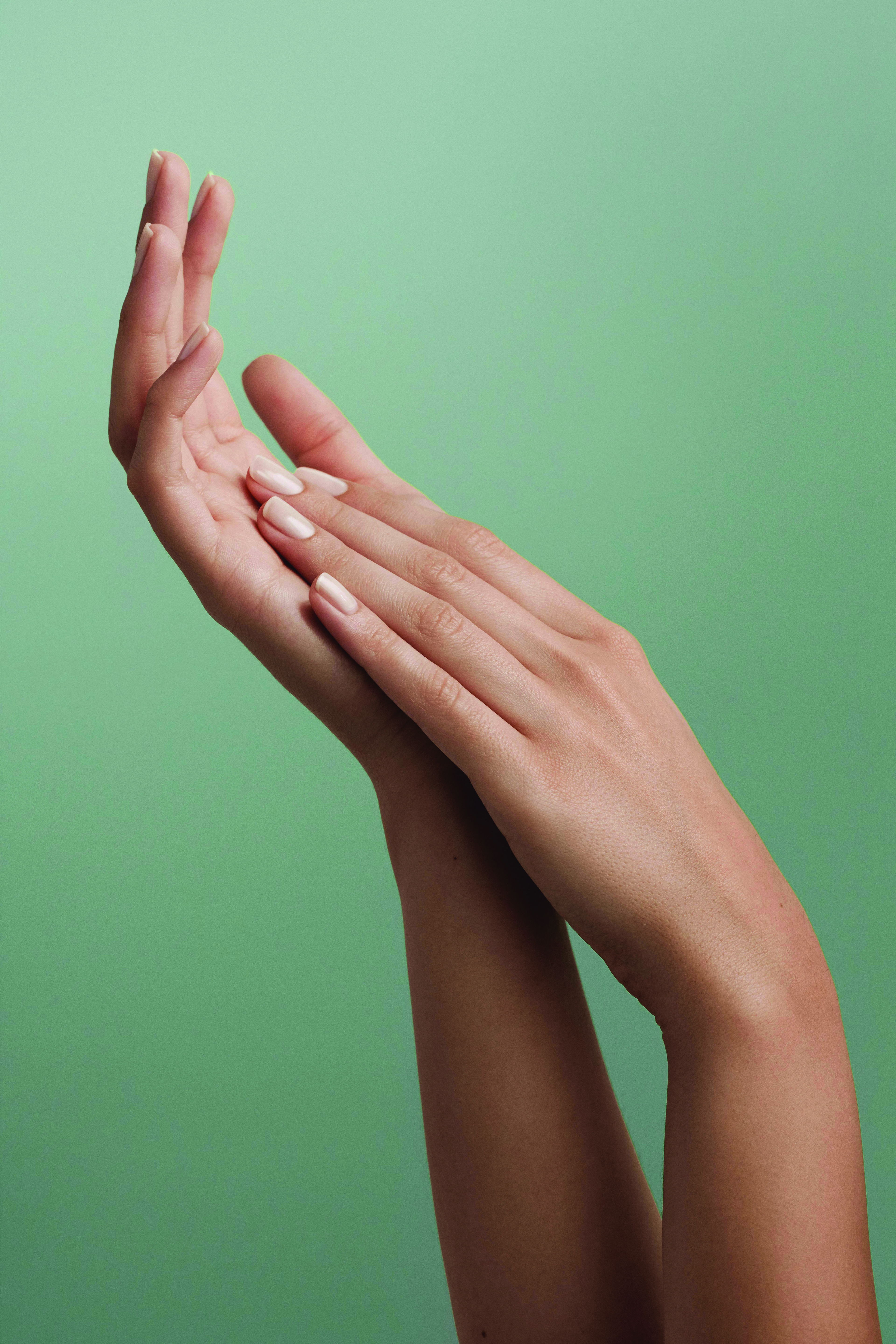 The Estée Lauder Companies | Hand Treatments