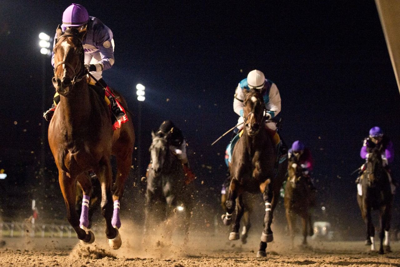 Artie's Storm and jockey David Moran were picture perfect winning the Steady Growth Stakes at Woodbine. (Michael Burns Photo)