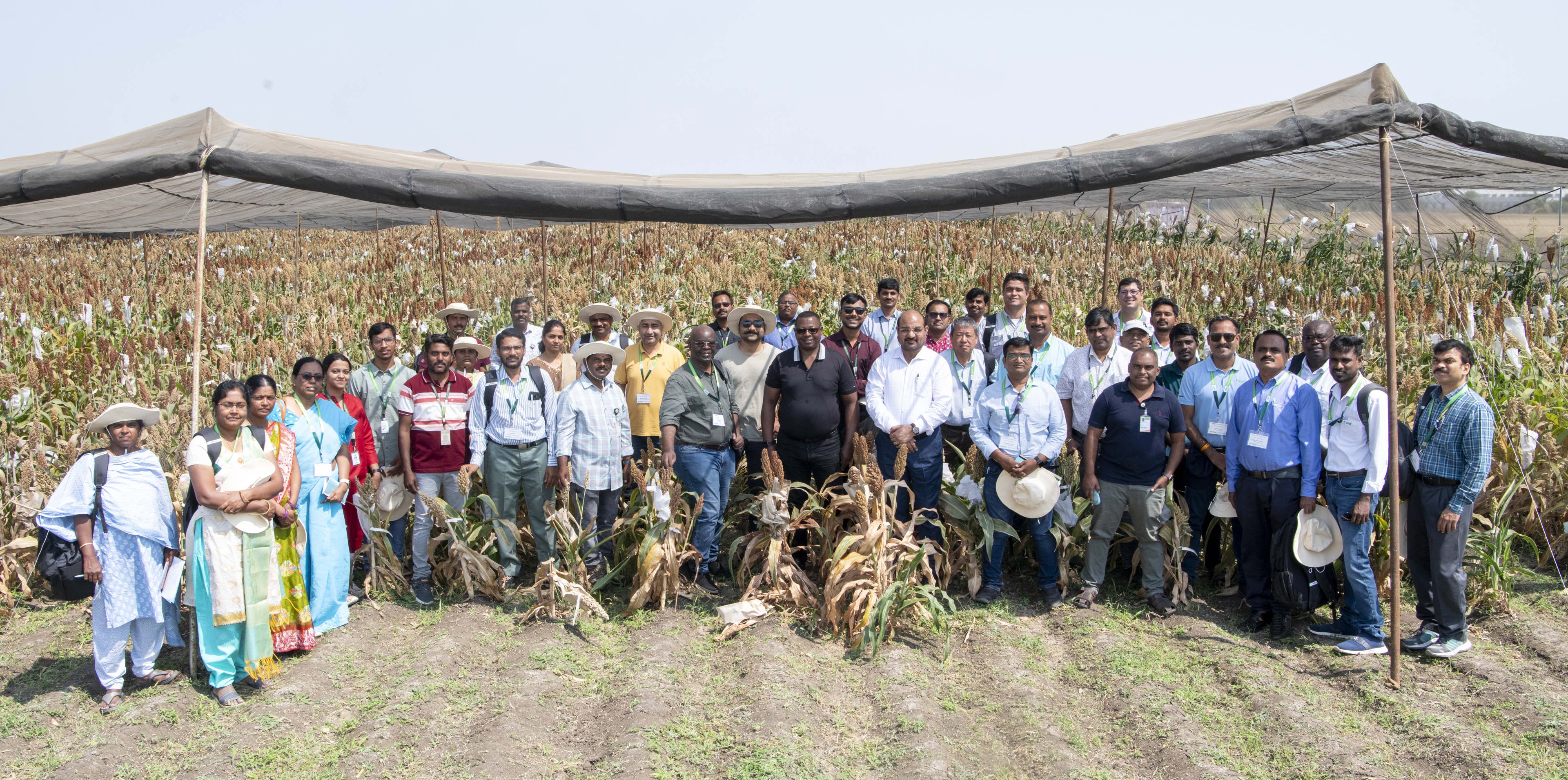 ICRISAT’s Sorghum Scientists’ Field Day Highlights Over 13,000 Advanced Breeding Innovations 