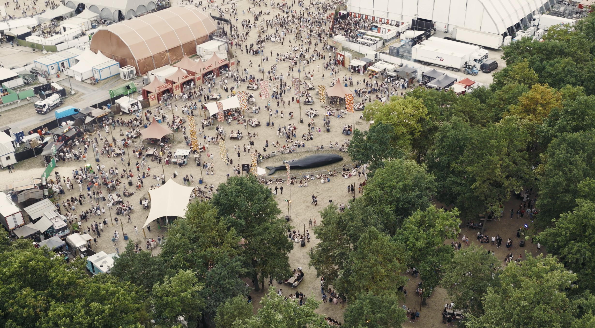 'Wij zijn de Walvis' - Pukkelpop 