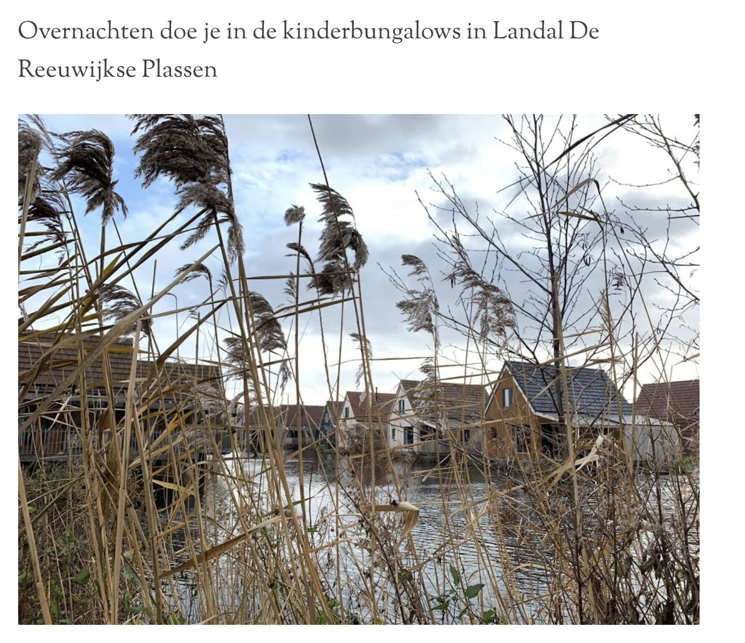 Schermafbeelding 2020-02-11 om 09.23.20