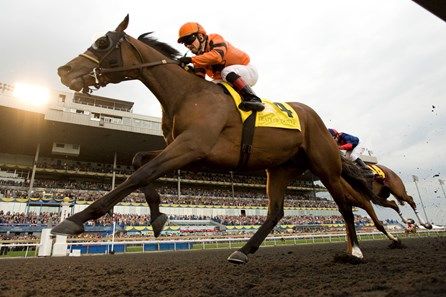 Straight of Dover and jockey Justin Stein winning the 2012 Queen's Plate at Woodbine (Michael Burns Photo)
