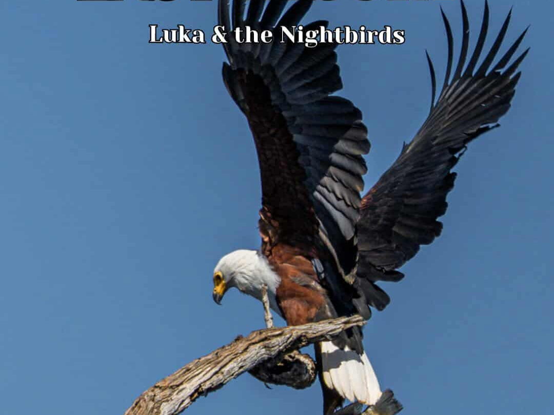 Luka & the Nightbirds : une voix singulière forgée entre héritage musical et résilience