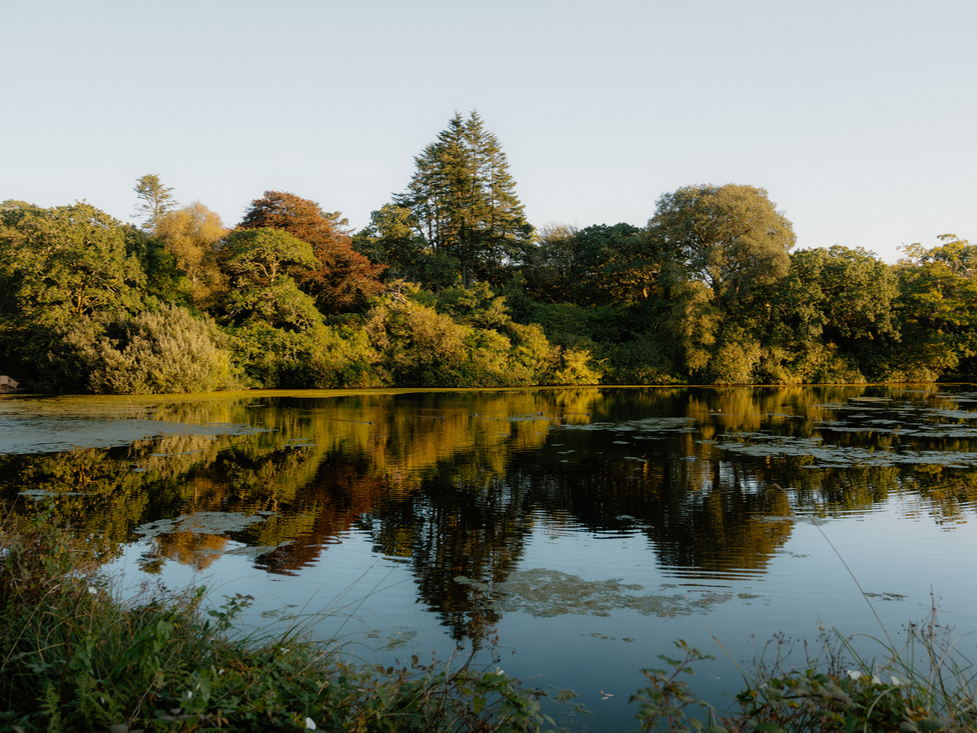 The ‘Hushed Hobby’ Retreat: Quiet Escapes for Reading, Enjoying Nature and Slowing Down