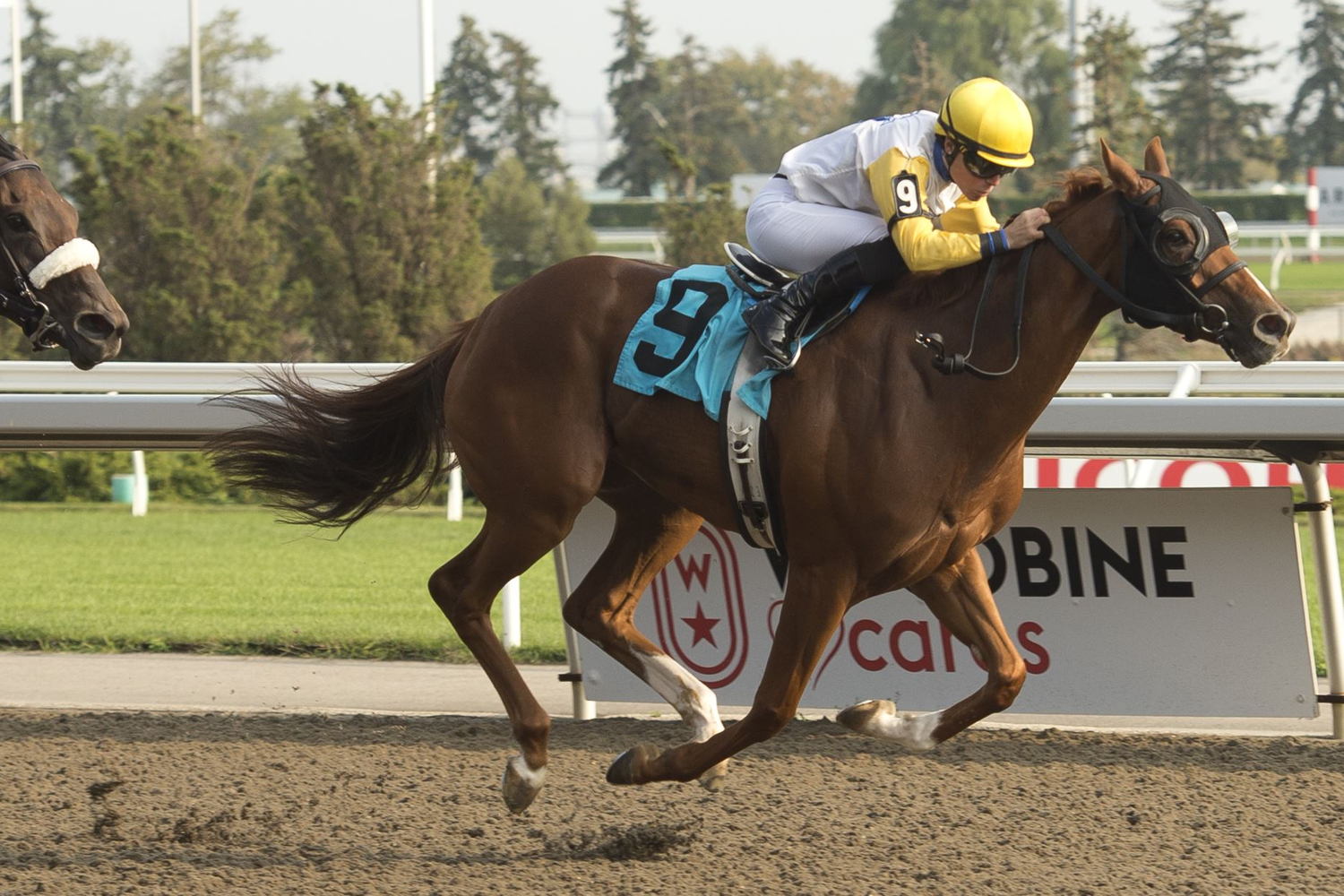 Emma-Jayne Wilson and Lady Speightspeare winning the Seaway Stakes on September 17, 2023 (Michael Burns Photo)