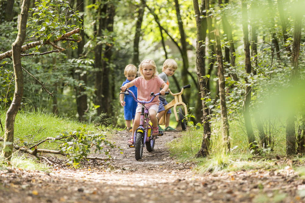 Fietsen Landal Land van Bartje