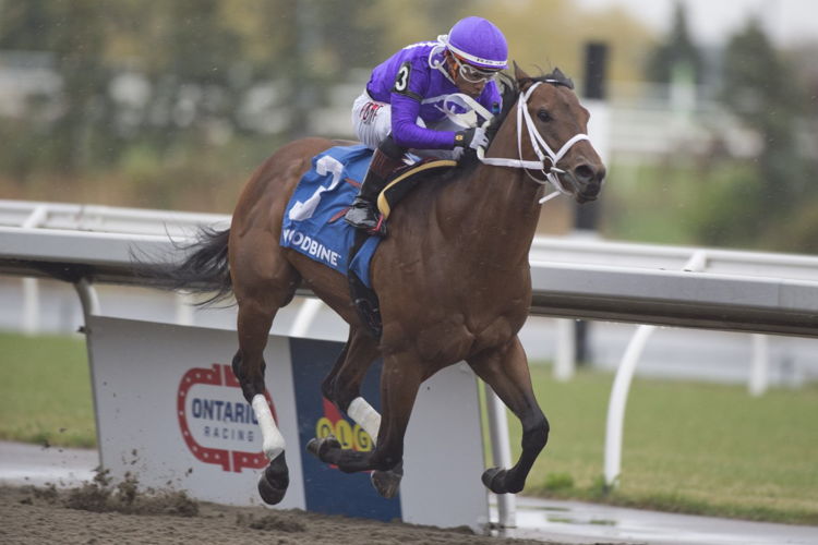 New York Thunder and Jockey Ricardo Santana Jr. winning the Woodstock Stakes on April 30, 2023 at Woodbine (Michael Burns Photo)