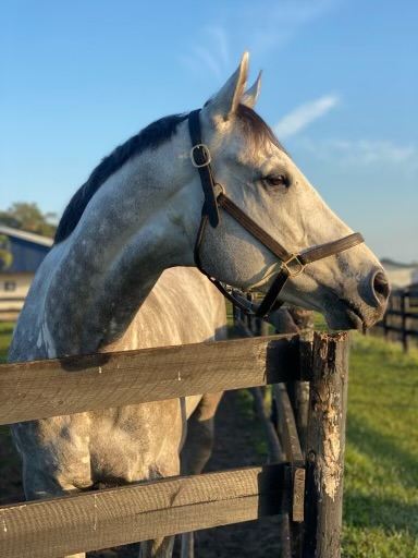 Rockcrest (Photo courtesy of Nigel Burke)